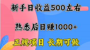 一台电脑，前期日收益300-500，熟练后日入1000左右-庄子聊项目