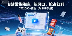 B站带货秘籍，新风口，抢占红利，7天2k+佣金【附SOP手册】-庄子聊项目