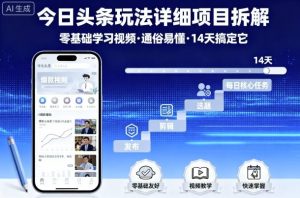 今日头条玩法详细项目拆解，零基础学习视频 通俗易懂 14天搞定它-庄子聊项目