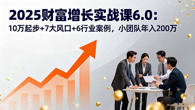 2025财富增长实战课6.0：10万起步+7大风口+6行业案例，小团队年入200万-庄子聊项目