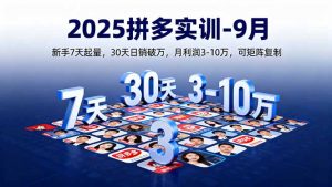 2025拼多多实训-9月：新手7天起量,30天日销破万,月利润3-10万,可矩阵复制-庄子聊项目