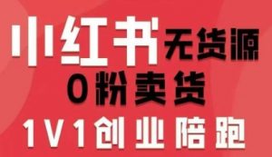 小红书无货源0粉电商课,开店准备、选品策略、笔记撰写、视频剪辑、数据分析、账号打造、资料文档-庄子聊项目