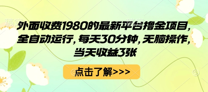 外面收费1980的最新平台撸金项目，全自动运行，每天30分钟，无脑操作，当天收益3张【揭秘】-庄子聊项目