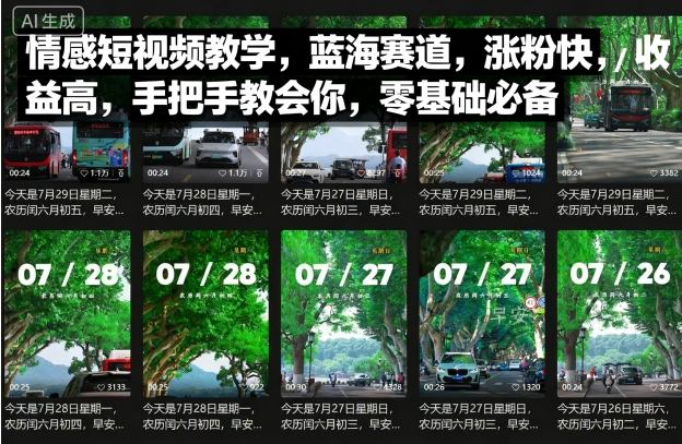 情感短视频教学，蓝海赛道，涨粉快，收益高，手把手教会你，零基础必备-庄子聊项目