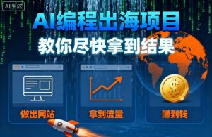 AI编程出海项目,教你尽快拿到结果-做出网站、拿到流量、賺到钱-庄子聊项目