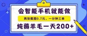 手机项目，二十秒一单，纯薅羊毛一天2张+做就有【揭秘】-庄子聊项目