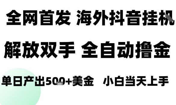 海外抖音无人直播，单日产出1.5k+，长期稳定，新手可玩，无脑操作【揭秘】-庄子聊项目