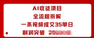 AI收徒项目全流程拆解一条视频成交35单日利润突破1k+-庄子聊项目