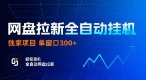 网盘拉新全自动挂G,独家技术,操作简单,自动完成拉新任务,单窗口3张【揭秘】-庄子聊项目