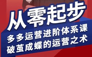 拼多多运营进阶系统课,从零起步,多多运营进阶体系课,破茧成蝶的运营之术(更新9月)-庄子聊项目