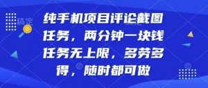 纯手机项目评论截图任务,两分钟一块钱多劳多得,随时随地都能做【揭秘】-庄子聊项目