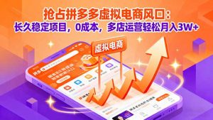 抢占拼多多虚拟电商风口:长久稳定项目,0成本,多店运营轻松月入3W+-庄子聊项目