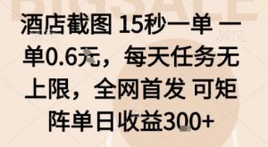 酒店截图15秒一单，一单0.6米，每天任务无上限，全网首发可矩阵单日收益3张【揭秘】-庄子聊项目