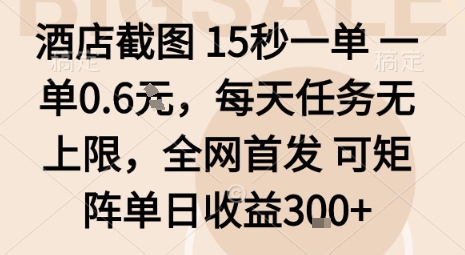 酒店截图15秒一单，一单0.6米，每天任务无上限，全网首发可矩阵单日收益3张【揭秘】-庄子聊项目