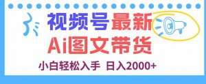 视频号最新AI图文带货，每天几分钟，小白轻松入手，日入2000+-庄子聊项目