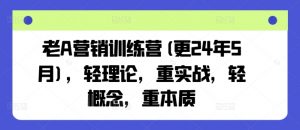 老A营销训练营(更25年10月),轻理论,重实战,轻概念,重本质-庄子聊项目