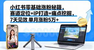 小红书零基础涨粉秘籍，赛道定位+IP打造+痛点挖掘，7天见效 单月涨粉5万+-庄子聊项目