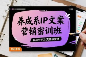 养成系IP文案营销密训班，实战中学习真高级营销-庄子聊项目