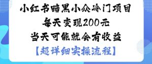 小红书暗黑小众冷门项目每天变现2张当天可能就会有收益-庄子聊项目