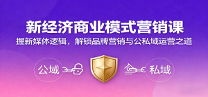新经济商业模式营销课，握新媒体逻辑，解锁品牌营销与公私域运营之道-庄子聊项目