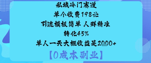 私域冷门赛道:单个收费198米引流模板简单人群精准转化45%单人一天大概收益是1k+-庄子聊项目