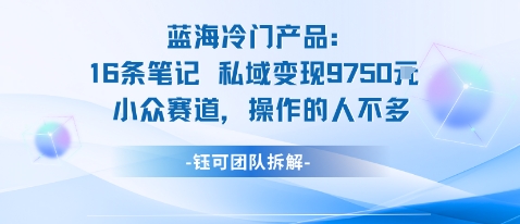 蓝海项目：16条笔记私域变现9750米小众赛道操作的人不多-庄子聊项目