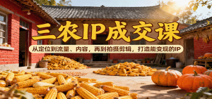 三农IP成交课：从定位到流量、内容，再到拍摄剪辑，打造能变现的IP-庄子聊项目