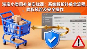 淘宝小类目补单实战课:系统解析补单全流程、降权风险及安全操作-庄子聊项目