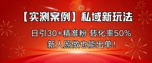 【实测案例】私域新玩法，日引30+精准粉，转化率50%，新人照做也能出单！-庄子聊项目