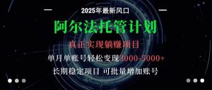 阿尔法托管计划 单账号月入3000-5000，长期稳定项目，新手小白轻松上手-庄子聊项目
