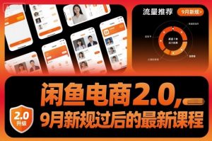闲鱼电商2.0，9月新规过后的最新课程-庄子聊项目