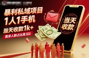 暴利私域项目1人1手机，当天收款1k+，需求人群占比高，当天就能见到钱-庄子聊项目