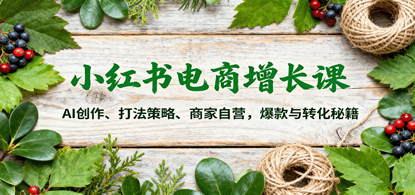 小红书电商增长课：AI创作、打法策略、商家自营，爆款与转化秘籍-庄子聊项目