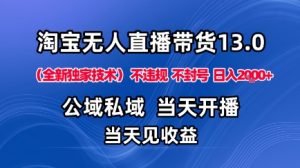 淘宝无人直播13.0,公域私域技术,不封号,不违规布局下半年旺季赛道,日入1K+(独家技术)【揭秘】-庄子聊项目