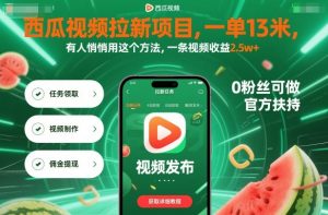 西瓜视频拉新项目,一单13米,有人悄悄用这个方法,一条视频收益2.5w+(附详细教程)-庄子聊项目
