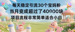 每天稳定引流30个宝妈粉当月变成超过了1W+项目流程非常简单适合小白-庄子聊项目