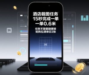 酒店截图任务,15秒完成一单,一单0.6米,任务不限量随便接,矩阵拉满单日3张【揭秘】-庄子聊项目
