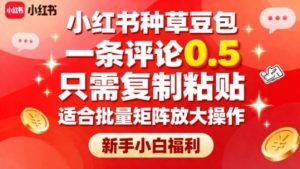 小红书种草豆包,一条评论0.5,只需复制粘贴,适合批量矩阵放大操作,新手小白福利-庄子聊项目