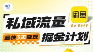私域流量掘金计划实战训练营,最快3天变现-庄子聊项目