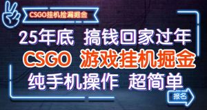 25年底搞钱回家过年,CSGO游戏挂机掘金,纯手机操作超简单-庄子聊项目