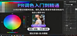 PR调色入门到精通:从色彩理论到案例实操,婚礼/医美/美食多场景调色技巧-庄子聊项目