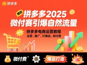 拼多多2025微付费引爆自然流量,拼多多电商运营教程,运营、推广、打爆品、微付费(更新)-庄子聊项目