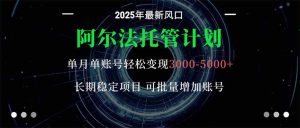 阿尔法托管计划 单账号月入3000-5000,长期稳定项目,新手小白轻松上手。-庄子聊项目