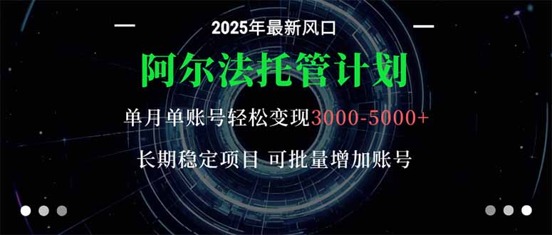 阿尔法托管计划 单账号月入3000-5000，长期稳定项目，新手小白轻松上手。-庄子聊项目