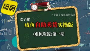 麦子甜咸鱼自助卖货实操版(虚拟资源)一个会自动搞钱的机器-庄子聊项目