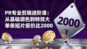 PR专业剪辑进阶课:从基础调色到特效大片的进阶技能,单条短片报价达2000-庄子聊项目