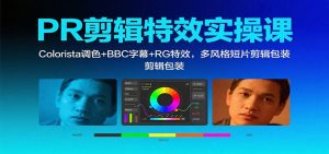 PR剪辑特效实操课:Colorista调色+BBC字幕+RG特效,多风格短片剪辑包装-庄子聊项目