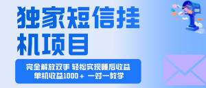 2025全新电脑挂机项目 操作简单,单机当天收益1000+,收益无上限,可…-庄子聊项目