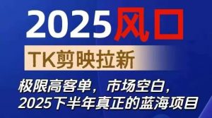 2025风口TK剪映capcut拉新项目,极限高客单,市场空白,2025下半年真正的蓝海项目-庄子聊项目