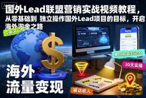 国外Lead联盟营销实战视频教程,从零基础到独立操作国外Lead项目的目标,开启海外淘金之路-庄子聊项目
